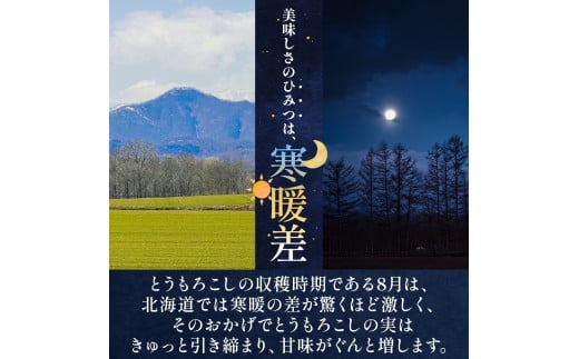 【2025年分先行予約】とうもろこし ゴールドラッシュ 50本 芽室町産 トウモロコシ コーン とうきび イエローコーン スイートコーン 野菜 新鮮 もぎたて 冷蔵 ギフト プレゼント お取り寄せ 送料無料 十勝 北海道 芽室町 【2025年8月発送】me035-029c-25