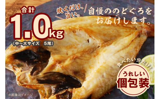 【お歳暮】のどぐろ専門店シーライフ のどぐろ一夜干し5枚で計1.0kg「グリルサイズセット」 アカムツ 魚 干物 干もの 一夜干し 手頃 小分け 個包装 産地直送 のどぐろ 人気 贈答 ギフト プレゼント 贈り物 【1570】