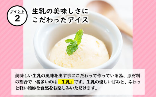 生ソフトクリームアイス＆バニラアイスクリーム お試し4個セット 4000円