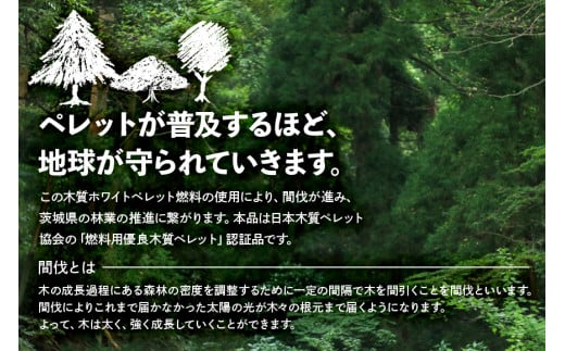 木質 ホワイトペレット 10kg × 2袋 燃料 木質ペレット 間伐材 エコ 暖房用 クリーン燃料 バイオマス ストーブ用 国産 送料無料 (G724)