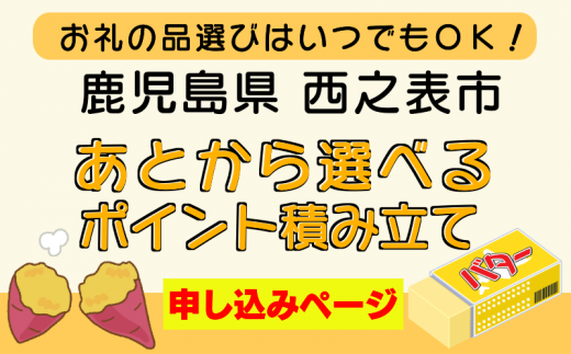 今回は、返礼品のお申し込みはしないで、ポイントを貯める方は、こちらです。