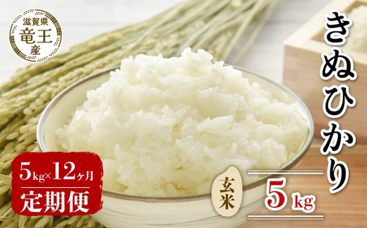 【 先行予約 】令和6年産 新米 予約 きぬひかり 玄米 5kg 定期便 12ヶ月 キヌヒカリ 定期 12か月  5kg × 12回 計 60kg 米 滋賀県 竜王町 国産 農家直送 特別栽培米 2024年産 国産 農家直送 環境こだわり お米 こめ おこめ 産地直送 送料無料