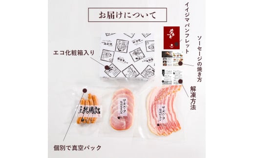 ハム ソーセージ 詰め合わせ IFFA金賞イイジマ工房お試しBセット 9000円 ウインナー ベーコン ローズポーク シャルキュトリー お歳暮 ギフト対応【肉のイイジマ】 茨城県 水戸市（DU-93）