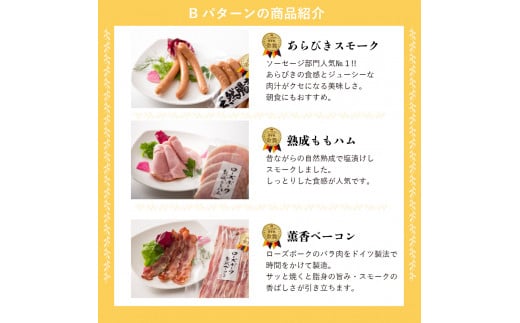 ハム ソーセージ 詰め合わせ IFFA金賞イイジマ工房お試しBセット 9000円 ウインナー ベーコン ローズポーク シャルキュトリー お歳暮 ギフト対応【肉のイイジマ】 茨城県 水戸市（DU-93）