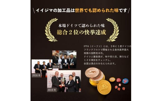 ハム ソーセージ 詰め合わせ IFFA金賞イイジマ工房お試しBセット 9000円 ウインナー ベーコン ローズポーク シャルキュトリー お歳暮 ギフト対応【肉のイイジマ】 茨城県 水戸市（DU-93）