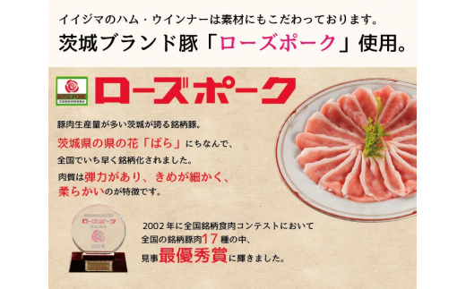 ハム ソーセージ 詰め合わせ IFFA金賞イイジマ工房お試しBセット 9000円 ウインナー ベーコン ローズポーク シャルキュトリー お歳暮 ギフト対応【肉のイイジマ】 茨城県 水戸市（DU-93）