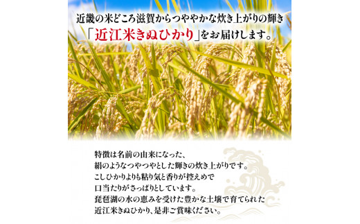 白米 食べ比べ セット 2種 6kg ( 3kg × 2袋 ) こしひかり きぬひかり 令和5年産 国産 滋賀県産 近江米 農家直送 産地直送 コシヒカリ キヌヒカリ 食べくらべ たべくらべ おいしい 精米 米 お米 おこめ コメ 御飯 ご飯 ごはん