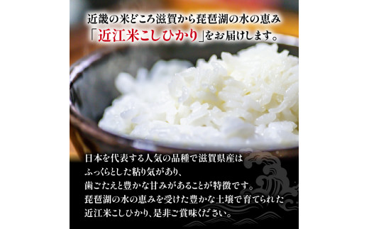 白米 食べ比べ セット 2種 6kg ( 3kg × 2袋 ) こしひかり きぬひかり 令和5年産 国産 滋賀県産 近江米 農家直送 産地直送 コシヒカリ キヌヒカリ 食べくらべ たべくらべ おいしい 精米 米 お米 おこめ コメ 御飯 ご飯 ごはん