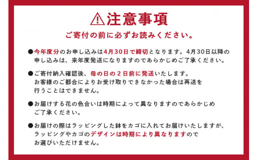 カーネーション 赤系 母の日への贈り物 プレゼント ギフト カーネーション 花 アレンジ 鉢植え 5号 鉢 国産 花鉢 鉢花 フラワーアレンジメント 母の日ギフト フラワーギフト お祝い 母の日