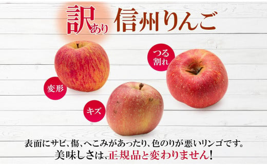 ＜25年発送 先行予約＞長野県産 りんご シナノドルチェ 訳あり 約3kg リンゴ 旬 フルーツ 訳アリ 林檎 果物 規格外 自家用 産地直送 農園 産直 お取り寄せ もぎたて 採れたて 送料無料 堀田農園 信州 大町市