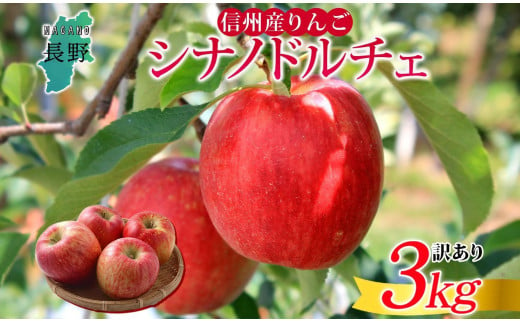 ＜25年発送 先行予約＞長野県産 りんご シナノドルチェ 訳あり 約3kg リンゴ 旬 フルーツ 訳アリ 林檎 果物 規格外 自家用 産地直送 農園 産直 お取り寄せ もぎたて 採れたて 送料無料 堀田農園 信州 大町市