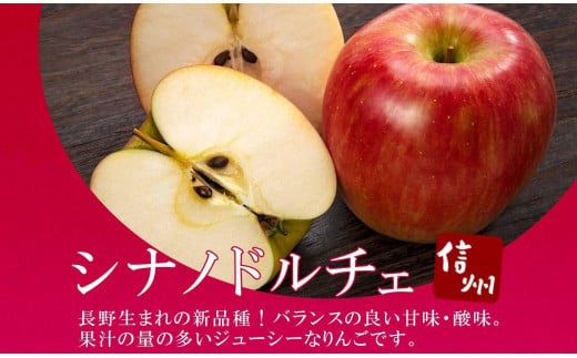 ＜25年発送 先行予約＞長野県産 りんご シナノドルチェ 訳あり 約3kg リンゴ 旬 フルーツ 訳アリ 林檎 果物 規格外 自家用 産地直送 農園 産直 お取り寄せ もぎたて 採れたて 送料無料 堀田農園 信州 大町市