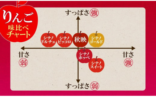 ＜25年発送 先行予約＞長野県産 りんご シナノドルチェ 訳あり 約3kg リンゴ 旬 フルーツ 訳アリ 林檎 果物 規格外 自家用 産地直送 農園 産直 お取り寄せ もぎたて 採れたて 送料無料 堀田農園 信州 大町市