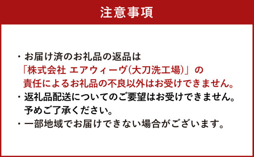 エアウィーヴ ポータブル02 セミダブル ポータブルタイプ 最上位モデル