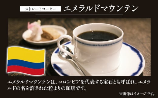 マウンテン珈琲 飲み比べ 200g （豆）＆古墳珈琲 ドリップバッグ 1袋 株式会社ばいせん工房 珈琲倶楽部《30日以内に出荷予定(土日祝除く)》大阪府 羽曳野市 コーヒー ブルーマウンテンブレンド エメラルドマウンテン