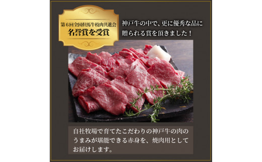 ★選べる配送月★[10月発送]神戸牛赤身焼肉(500g)《 肉 牛肉赤身 神戸牛 焼肉 国産 バーベキュー 和牛美味しい プレゼント ギフト 赤身肉 お取り寄せ 送料無料 おすすめ 》【2402A00109-10】