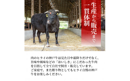 ★選べる配送月★[10月発送]神戸牛赤身焼肉(500g)《 肉 牛肉赤身 神戸牛 焼肉 国産 バーベキュー 和牛美味しい プレゼント ギフト 赤身肉 お取り寄せ 送料無料 おすすめ 》【2402A00109-10】