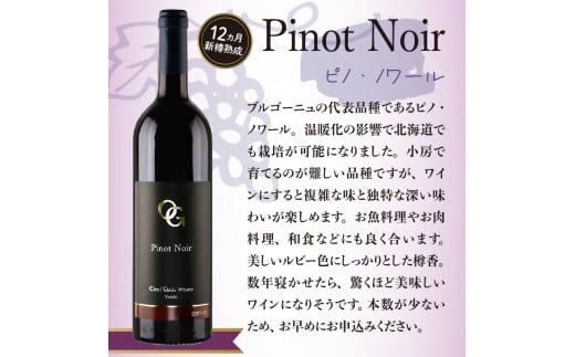 【OcciGabi Winery】おススメ黒ラベルシリーズ６本セット　【余市のワイン】 ワイン 紅白ワイン 赤白ワイン 赤ワイン 白ワイン ワインセット ワイン6本 人気ワイン 北海道のワイン 日本のワイン 国産ワイン 