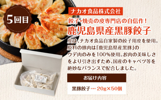 【全6回】うんめか餃子定期便　K000-T2311