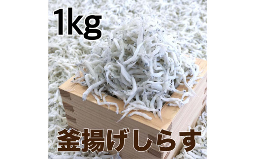 釜揚げしらす1kg 【DN2】