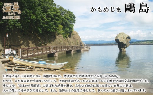 【数量限定】かもめ島特産 手摘み 天日干し 「天然わかめ」 45g（15ｇ×3袋）　無添加　日本海　ミネラル　低カロリー　天然海藻