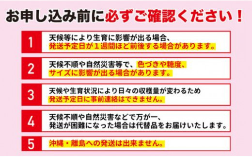 No.1719【先行予約】梨　なし　あきづき　約5kg　【2024年発送】