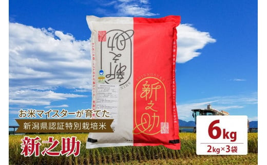 令和5年産お米マイスターが育てた新潟県認証特別栽培米「新之助」上越頸城産 6kg(2kg×3) 精米 お米 上越