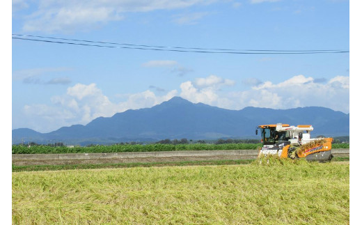 令和5年産お米マイスターが育てた新潟県認証特別栽培米「新之助」上越頸城産 6kg(2kg×3) 精米 お米 上越