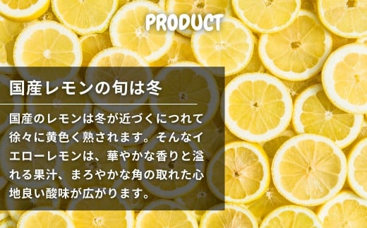 [2~3月発送] 芳醇! 文田農園のレモン 約3kg 瀬戸内 広島 大崎上島 離島 柑橘 檸檬 露地栽培