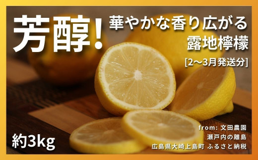 [2~3月発送] 芳醇! 文田農園のレモン 約3kg 瀬戸内 広島 大崎上島 離島 柑橘 檸檬 露地栽培