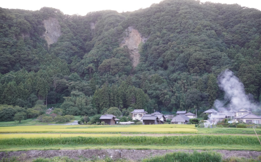 こだわりの日本ワイン 常陸ワイン山ブドウ交配種（赤）・山ブドウ交配種ワイングランド（白） 各720ml ２本セット | 茨城県 常陸太田市 常陸ワイン 山ブドウ 交配種 赤 品格  色調 酸味 渋み 調和 さわやかな 余韻  ミディアムボディ ワイン 自社 農園  ワイングランド 白 山 ブドウ 交配種 風味 活きる しっかり 味わい 日本ワイン ぶどう こだわり プレゼント ギフト