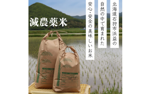 660001001 【期間限定受付】【令和6年度産】【新米】浜益米[ななつぼし] 10kg（5kg×2）｜毎年数カ月間しか受付しない石狩市浜益産の限定ななつぼし！ふるさと納税 北海道 石狩市 ナナツボシ お米 北海道米 道産米 石狩浜益産 石狩産