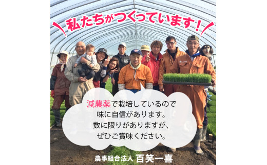 660001001 【期間限定受付】【令和6年度産】【新米】浜益米[ななつぼし] 10kg（5kg×2）｜毎年数カ月間しか受付しない石狩市浜益産の限定ななつぼし！ふるさと納税 北海道 石狩市 ナナツボシ お米 北海道米 道産米 石狩浜益産 石狩産