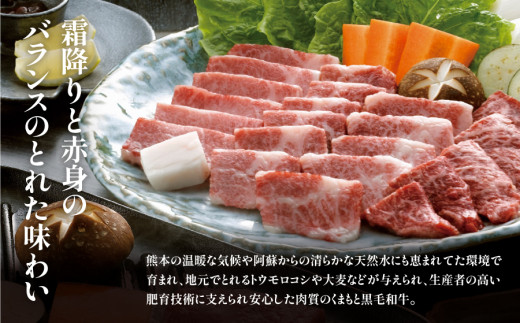 【定期便3回】くまもと黒毛和牛　焼肉用　500ｇ