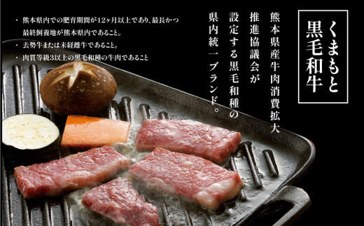 【定期便3回】くまもと黒毛和牛　焼肉用　500ｇ