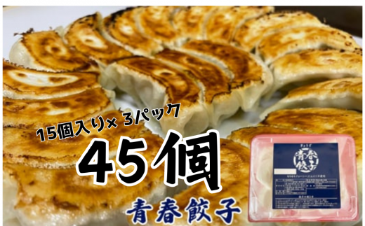 餃子専門店青春餃子のもちもち肉汁餃子15個入り×3パック 45個