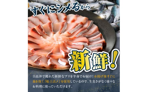 えりも【マルデン特製】(ワンフローズン)北海道日高産ぶり半身1.2kg～1.4kg【er002-077】