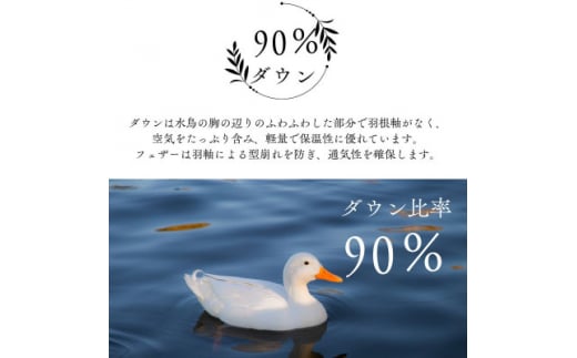 洗える羽毛布団セミダブル掛け布団日本製ダウン90%1.2kg立体キルト8か所ループ付き無地クリーム【1236847】