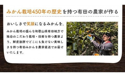 ご家庭用 濃厚完熟有田 みかん 約5kg【先行予約 2024年12月発送予定 】 農家直送 訳あり【MS31-2】