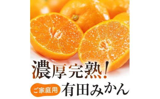 ご家庭用 濃厚完熟有田 みかん 約5kg【先行予約 2024年12月発送予定 】 農家直送 訳あり【MS31-2】