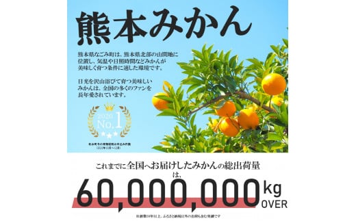 ＜先行予約＞ 極早生 みかん 期間限定 10kg | 熊本県 熊本 くまもと 和水町 なごみまち なごみ 果物 フルーツ 柑橘 柑橘類 極早生 早生