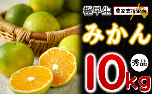 ＜先行予約＞ 極早生 みかん 期間限定 10kg | 熊本県 熊本 くまもと 和水町 なごみまち なごみ 果物 フルーツ 柑橘 柑橘類 極早生 早生