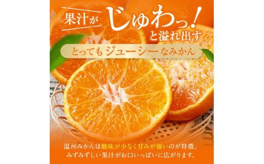 ＜先行予約＞ 極早生 みかん 期間限定 10kg | 熊本県 熊本 くまもと 和水町 なごみまち なごみ 果物 フルーツ 柑橘 柑橘類 極早生 早生