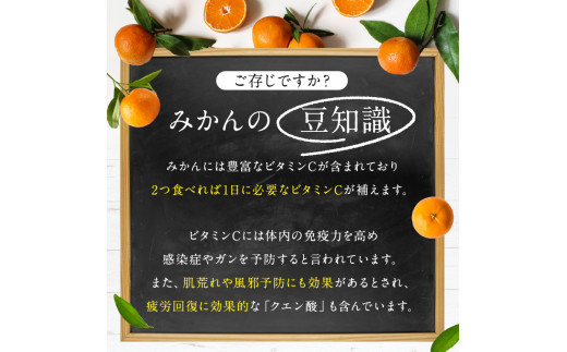 ＜先行予約＞ 極早生 みかん 期間限定 10kg | 熊本県 熊本 くまもと 和水町 なごみまち なごみ 果物 フルーツ 柑橘 柑橘類 極早生 早生