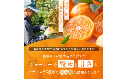 ＜先行予約＞ 極早生 みかん 期間限定 10kg | 熊本県 熊本 くまもと 和水町 なごみまち なごみ 果物 フルーツ 柑橘 柑橘類 極早生 早生