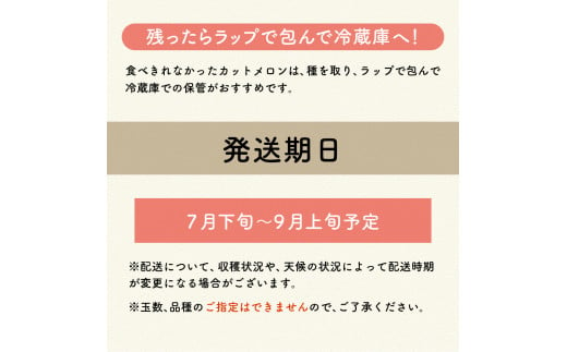 【2024年8月下旬発送】【訳あり】メロン約2.5kg緑肉2玉青森産