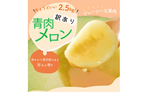 【2024年8月下旬発送】【訳あり】メロン約2.5kg緑肉2玉青森産