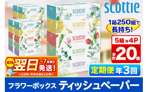 《4ヶ月ごとに3回お届け》定期便 ティッシュペーパー スコッティ フラワーボックス250組 20箱(5箱×4パック) ティッシュ 秋田市オリジナル【レビューキャンペーン中】