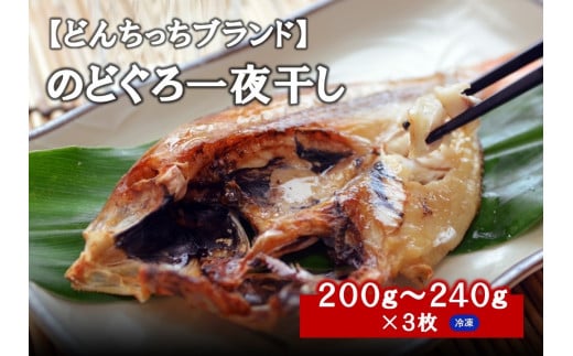 のどぐろ一夜干し 200g～240g（３枚） 干物 ひもの 一夜干し のどぐろ アカムツ  魚 のどぐろ一夜干し 【962】