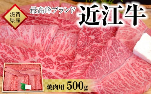 【着日指定必須】近江牛　焼肉用　５００ｇ